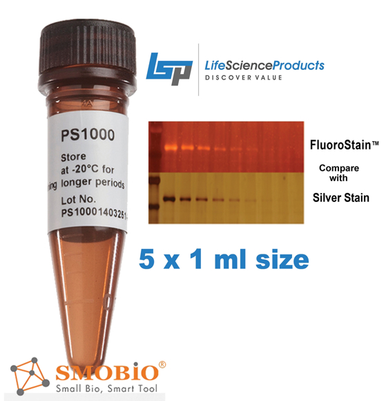 Picture of FluoroStain™ Protein Fluorescent Staining Dye (Red, 1000X), 5 x 1ml