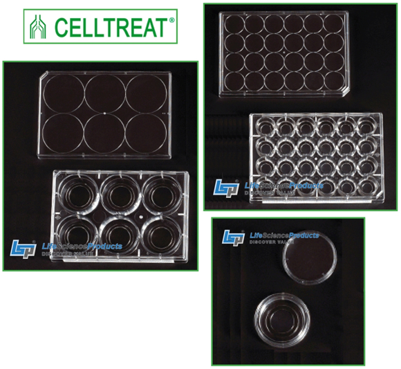 CELLTREAT Scientific Products 15mm Round Cover Glass, Sterile, Quantity