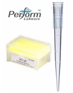 300ul pipet tips