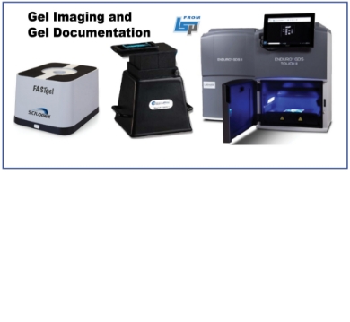 Picture for category Gel Imaging / Gel Docs