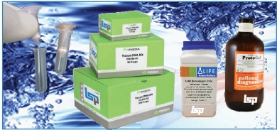 Picture for category BioReagents, Purification Kits, Bacti-Media