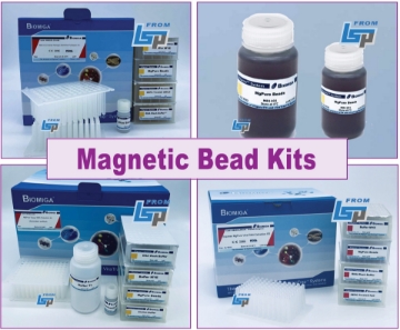 Picture of Biomiga MgPure® Magnetic Bead Purification Kit Products